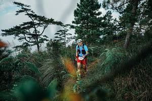 BIB: 
                            <button type="button" onclick="openModal(25259783)" class="btn btn-primary btn-sm float-right btn-popup" data-toggle="modal" data-target=".modal-high-quality">
                        <i class="fas fa-shopping-cart"></i> Add to Cart
                    </button>
                                            <button type="button" onclick="isThisMe(25259783, true)" class="btn btn-success btn-sm float-right btn-popup btn-isme hidden" data-toggle="tooltip" data-placement="bottom" title="นี่คือรูปของคุณใช่ไหม คลิกที่นี่เพื่อเอาเข้าอัลบั้ม">
                        <i class="fas fa-plus"></i> Add to album
                    </button>
                    <button type="button" onclick="isThisMe(25259783, false)" class="btn btn-warning btn-sm float-right btn-popup btn-isnotme hidden">
                        <i class="fas fa-ban"></i> Remove from album
                    </button>